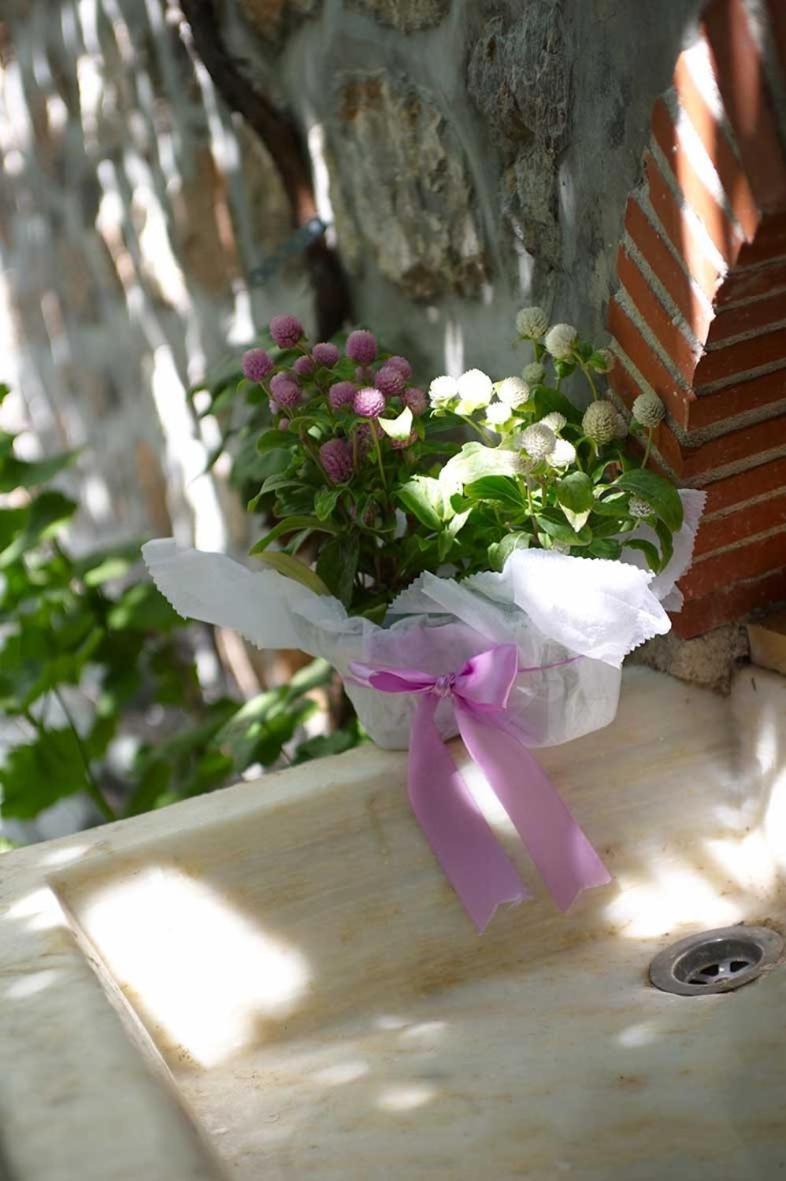Pension Erofili Hydra  Zewnętrze zdjęcie